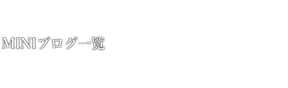 MINIブログ一覧